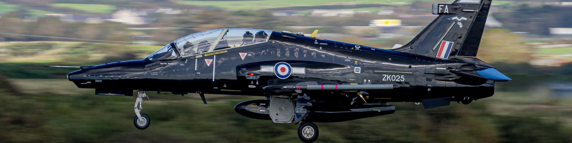 Hawk coming into land