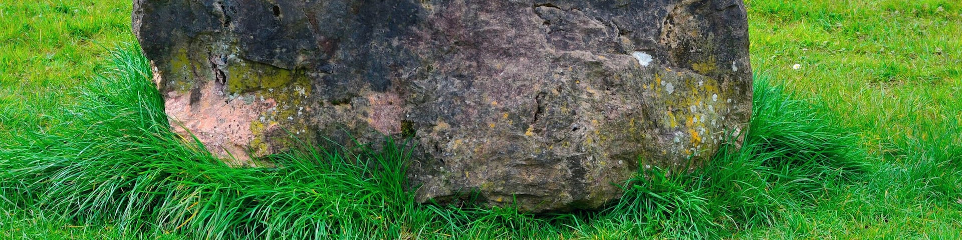 Sculptor Robert Kennedy.
Six separate small upright works set on stone bases; two boxing gloves, two dolls, cherub and a skull. Information from Festival Park: 'The works were carved away from site during 1991. They are made to operate as conventional garden ornamentation, within a constructed garden. The boxing gloves are there to depict some of their associated aspects, such as maleness and competition. The dolls depict something of how an image is idealised for mass consumption, becoming a distortion of the human figure. Both the gloves and the dolls can be seen as gendering devices through role play. The cherub and skull are life and death charms. Each of these suggests ways in which we adopt roles in society. What we really are is never as clear cut as what these images suggest.'
Borderline was supported by Garden Festival Wales and Chapter Arts Centre. 'The sculptor, Robert Kennedy, felt that the Garden Festival was a huge, themed social event in itself. He wanted to create a themed garden within it, something social, commenting to some extent on the diversity of culture within real society.'
A number of sculptures were commissioned for the Garden Festival of Wales in 1991/2 and some works remain on site.