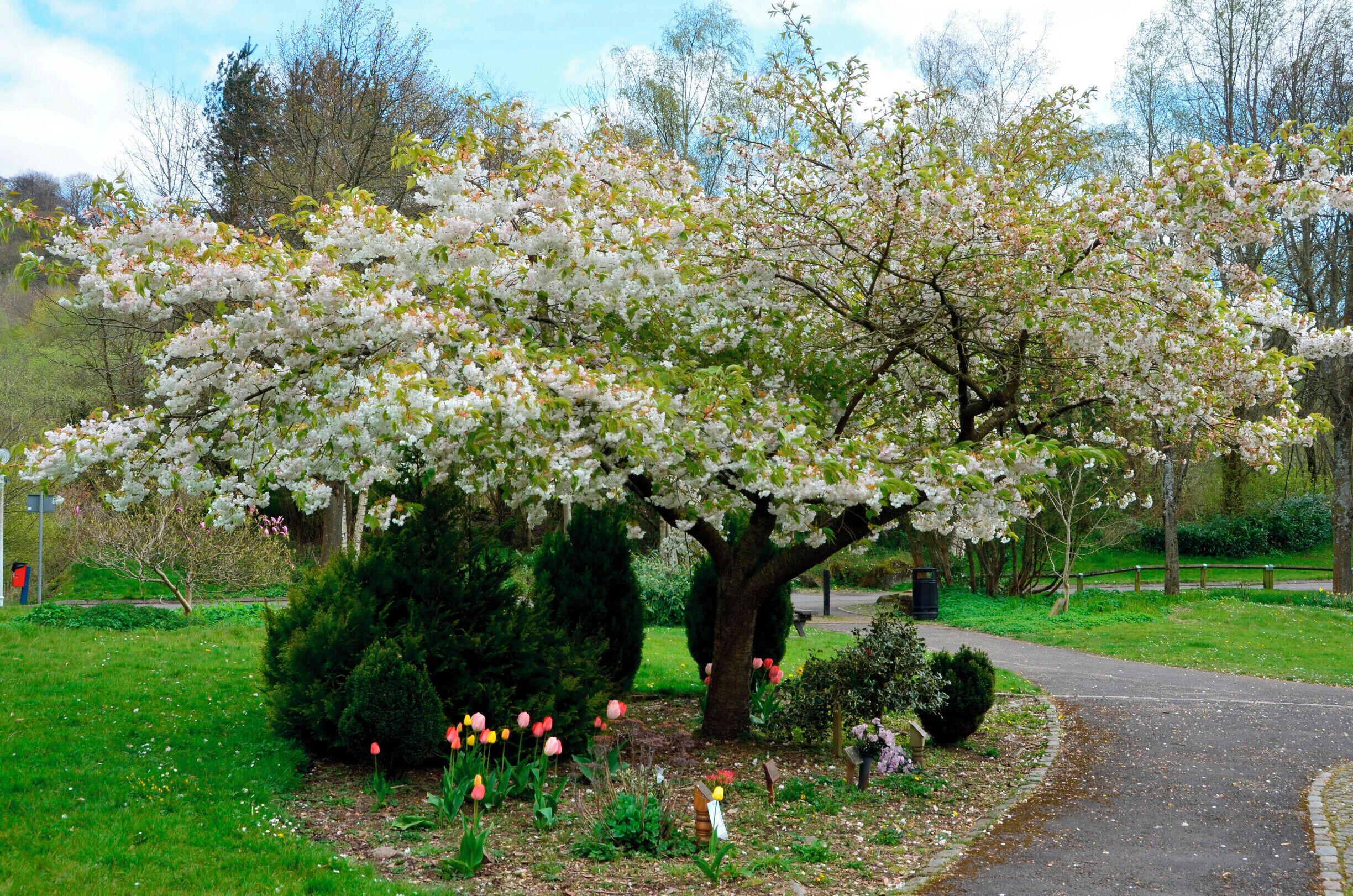 Festival Park in Ebbw vale.