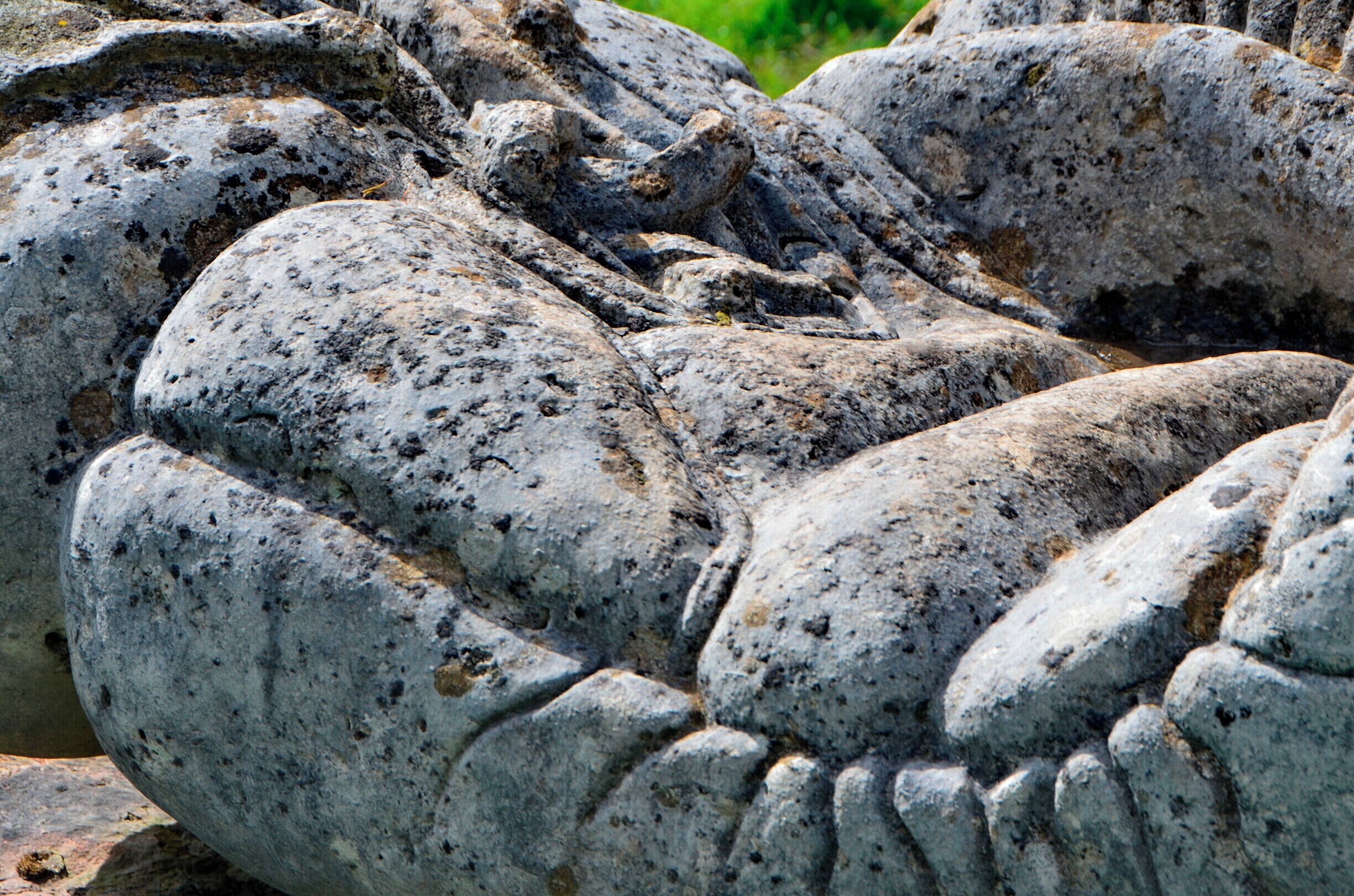 Sculptor Robert Kennedy.

Six separate small upright works set on stone bases; two boxing gloves, two dolls, cherub and a skull. Information from Festival Park: 'The works were carved away from site during 1991. They are made to operate as conventional garden ornamentation, within a constructed garden. The boxing gloves are there to depict some of their associated aspects, such as maleness and competition. The dolls depict something of how an image is idealised for mass consumption, becoming a distortion of the human figure. Both the gloves and the dolls can be seen as gendering devices through role play. The cherub and skull are life and death charms. Each of these suggests ways in which we adopt roles in society. What we really are is never as clear cut as what these images suggest.'
     Borderline was supported by Garden Festival Wales and Chapter Arts Centre. 'The sculptor, Robert Kennedy, felt that the Garden Festival was a huge, themed social event in itself. He wanted to create a themed garden within it, something social, commenting to some extent on the diversity of culture within real society.'
     A number of sculptures were commissioned for the Garden Festival of Wales in 1991/2 and some works remain on site. 