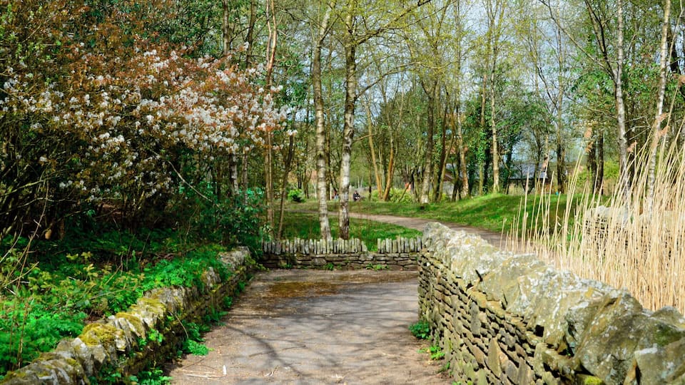 Ebbw vale Festival Park.