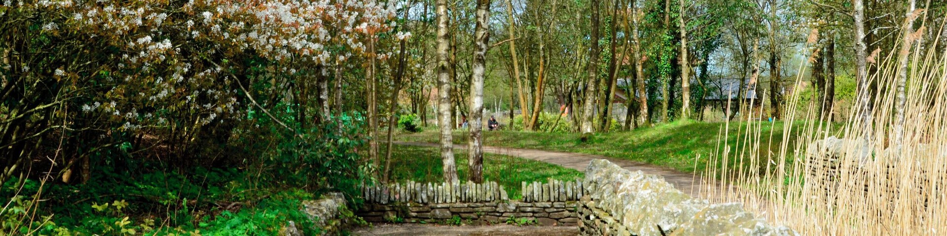 Ebbw vale Festival Park.