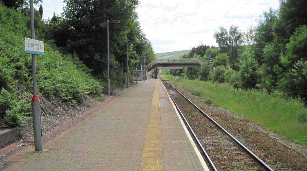 Llwynypia railway station, Rhondda Cynon Taf. Opened in 1863 by the Taff Vale Railway on the line from Cardiff to Treherbert. View south towards Tonypandy and Cardiff. The remains of the former northbound platform are hidden in the undergrowth to the right.