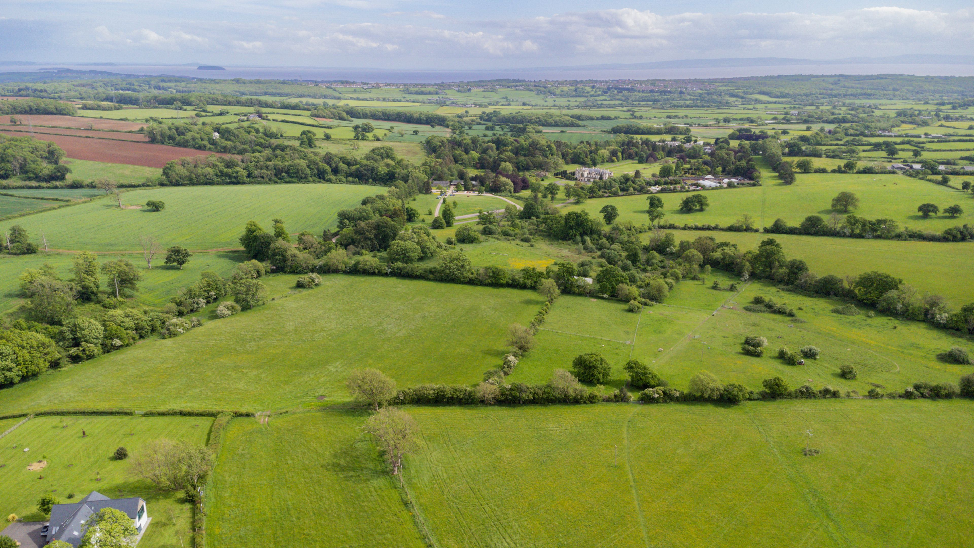 A lush green landscape with rolling hills, scattered trees, and a distant view of a body of water.