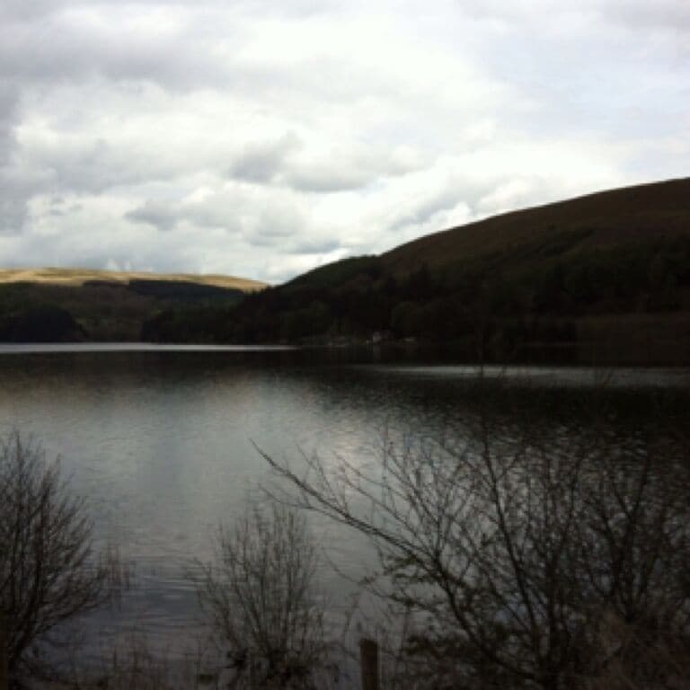 Lovely peaceful location, nice for walkers and bird spotters.