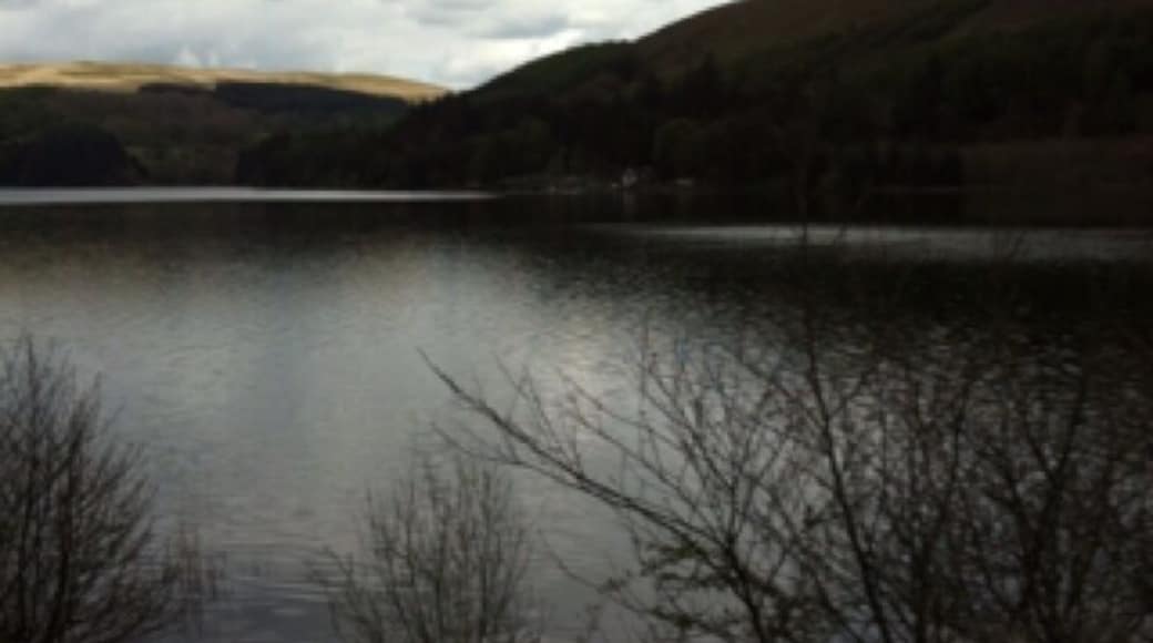 Lovely peaceful location, nice for walkers and bird spotters.