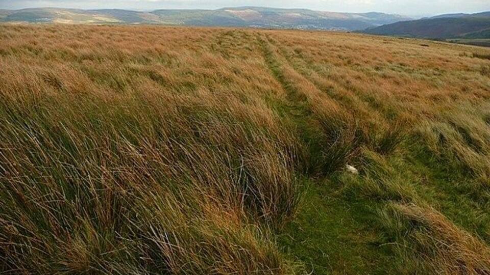 Descent to Cwmdare A reasonably clear moorland track heads east along the flat eastern flank of Mynydd Cefn-y-gyngon, heading for Cwmdare.