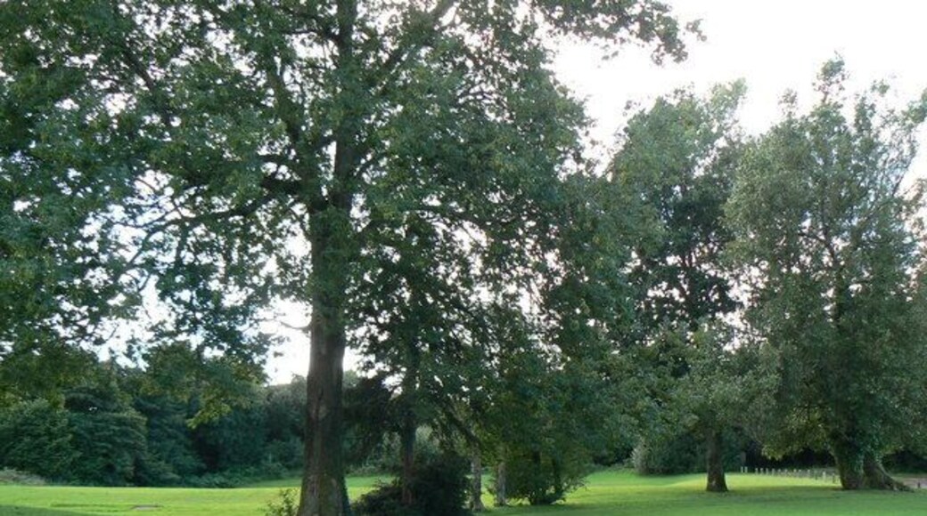 Open Space / Park in Cwmbran Open ground with a disused children's play area on the left, it wasn't vandal proofed.