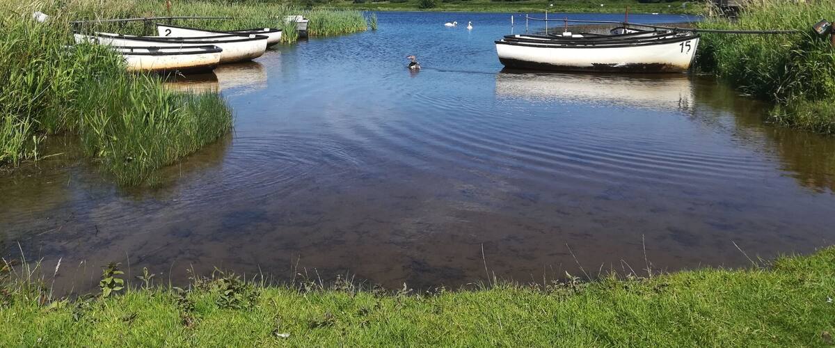 Llanddyfnan Hotel Guide