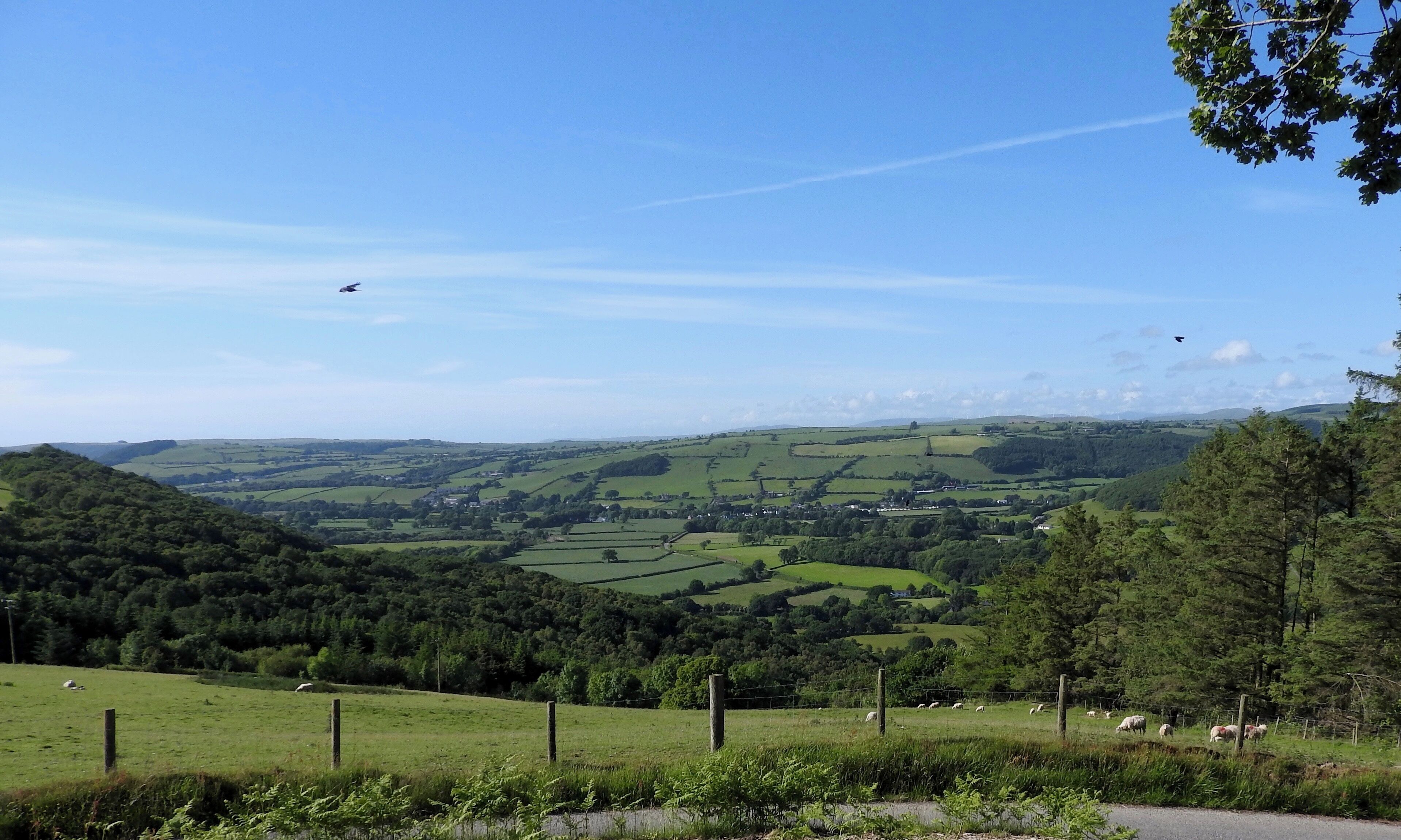 A green valley with sheep grazing, a road, and a distant town.