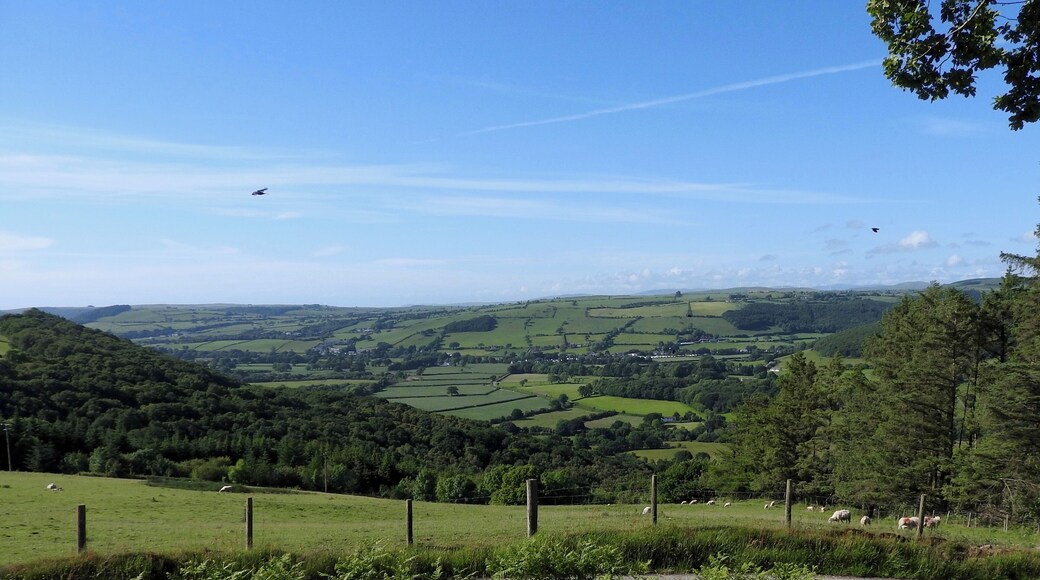 A green valley with sheep grazing, a road, and a distant town.