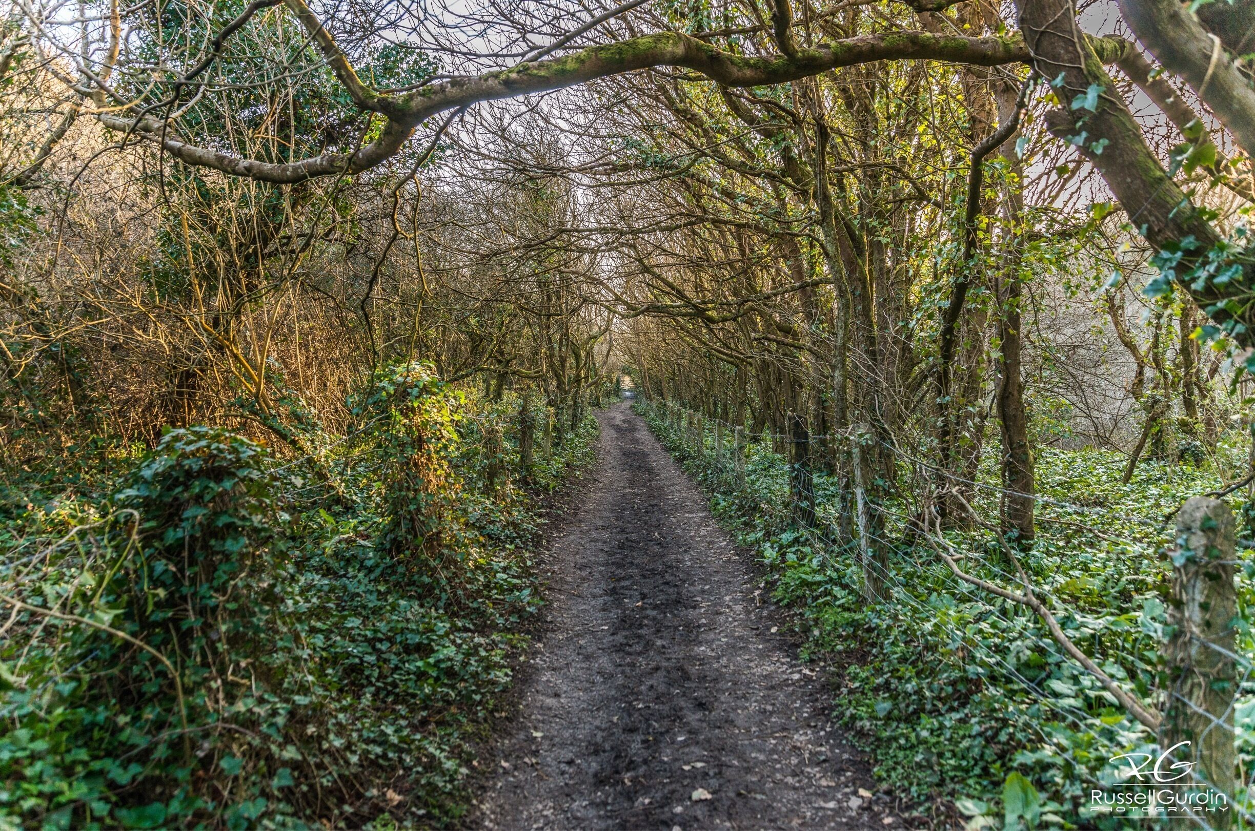 Beautiful walk to Monknash beach stunning waterfalls to your right hand side the whole way down 