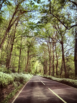 Driving through the Gower Peninsula #SpringFun #idyllic