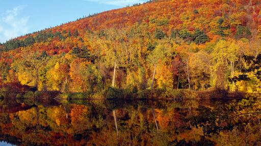 Autumn colors along Connecticut River, Brattleboro, Vermont