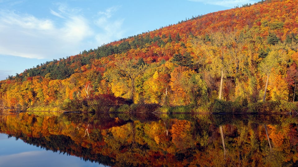 A calm lake reflecting a forest with autumn foliage.