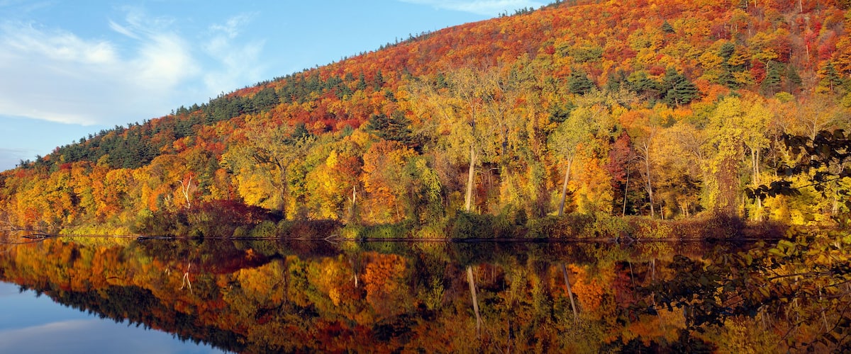 A calm lake reflecting a forest with autumn foliage.