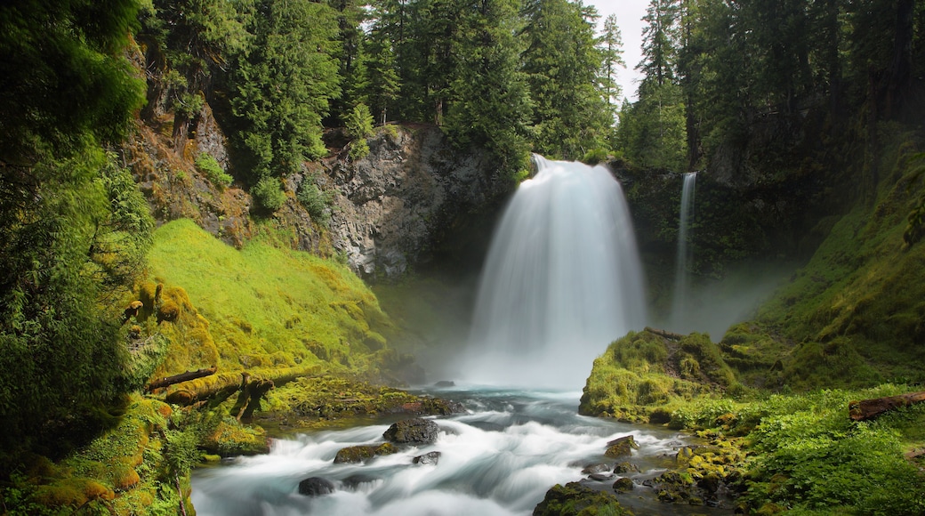 Una cascata che si getta in un fiume, circondata da una vegetazione lussureggiante e ripidi dirupi rocciosi.