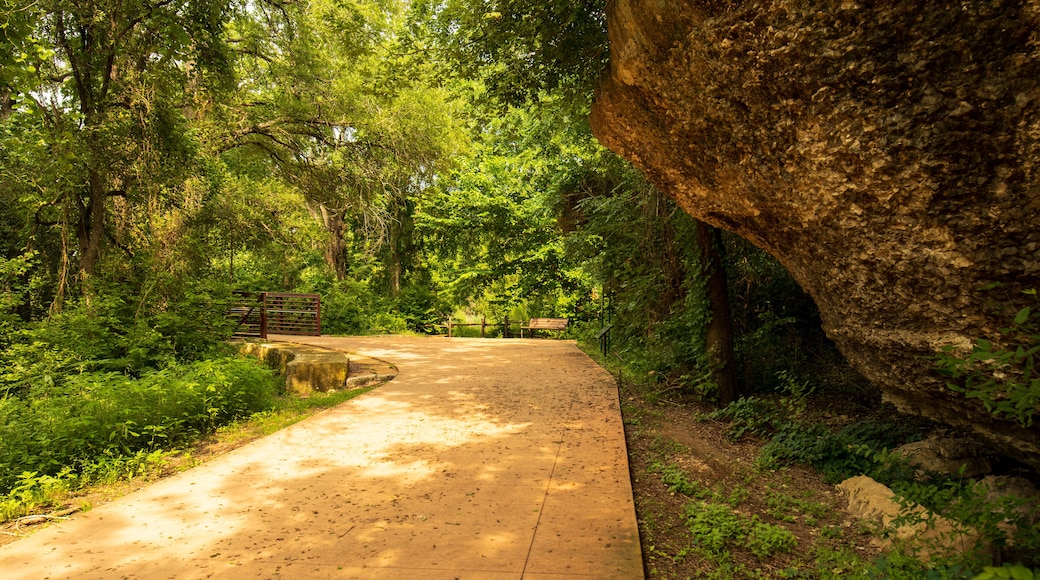 Brushy Creek Regional Trail