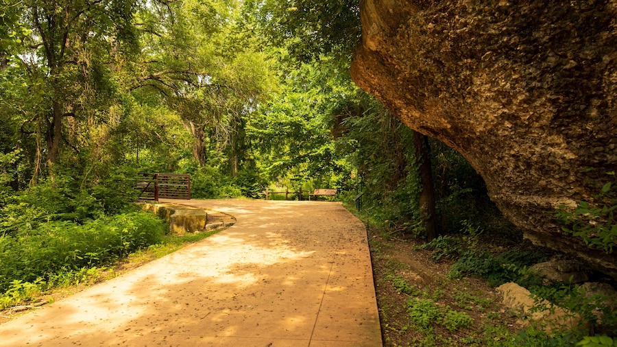 Brushy Creek Regional Trail