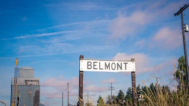 grain elevator in Belmont Washington