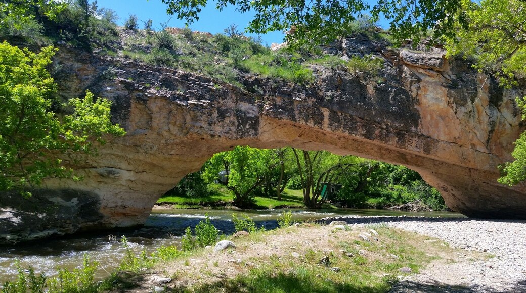 Found this gem of a state park 20 miles from home