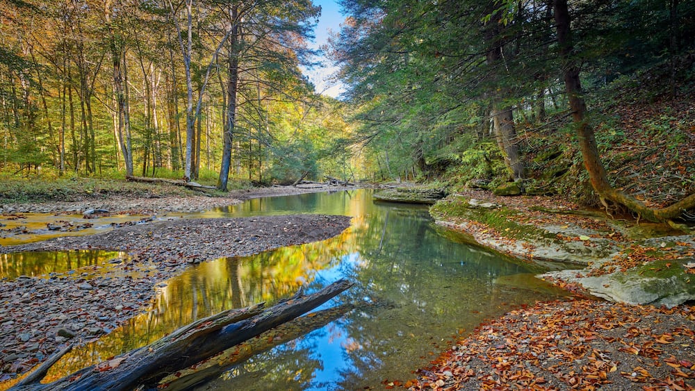 View of War Creek next to Turkey Foot Campground in the Daniel Boone National Forest near McKee, KY.