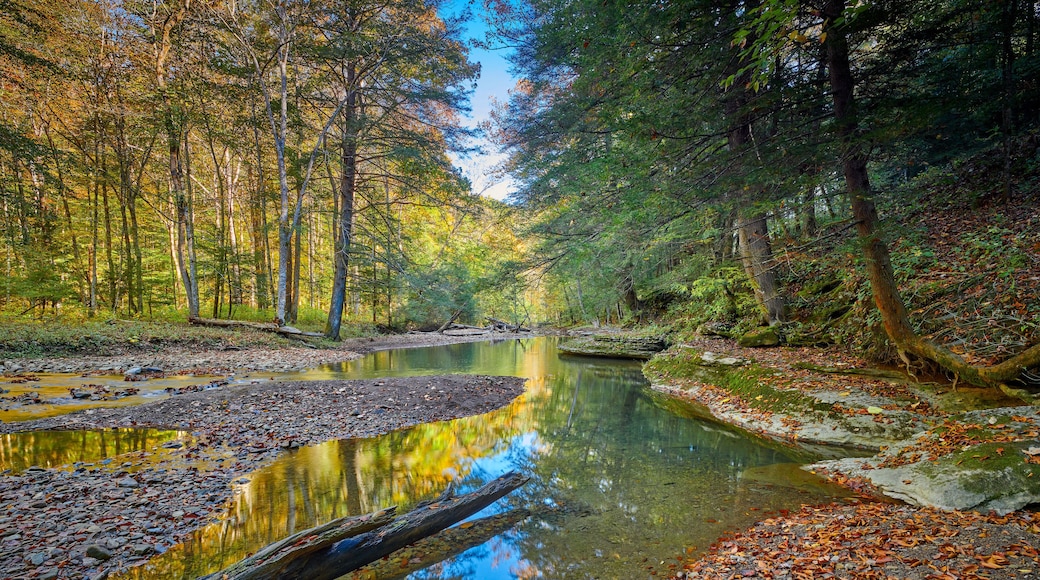 View of War Creek next to Turkey Foot Campground in the Daniel Boone National Forest near McKee, KY.