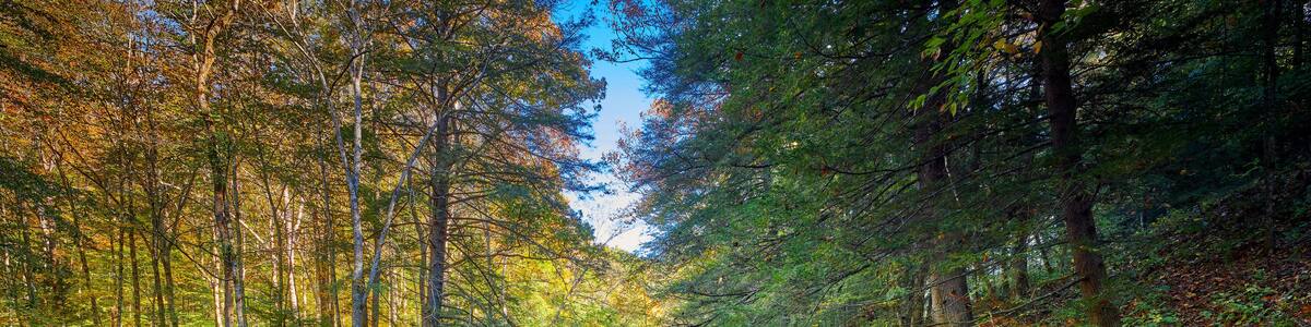 View of War Creek next to Turkey Foot Campground in the Daniel Boone National Forest near McKee, KY.