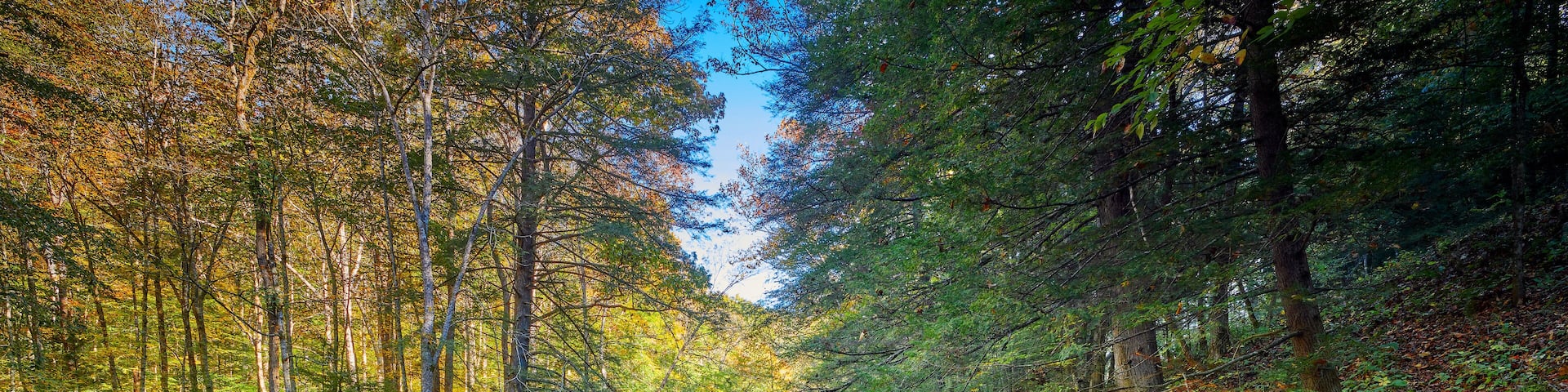 View of War Creek next to Turkey Foot Campground in the Daniel Boone National Forest near McKee, KY.