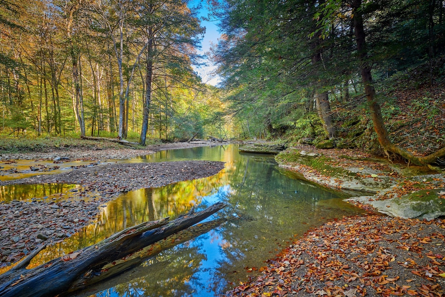 View of War Creek next to Turkey Foot Campground in the Daniel Boone National Forest near McKee, KY.