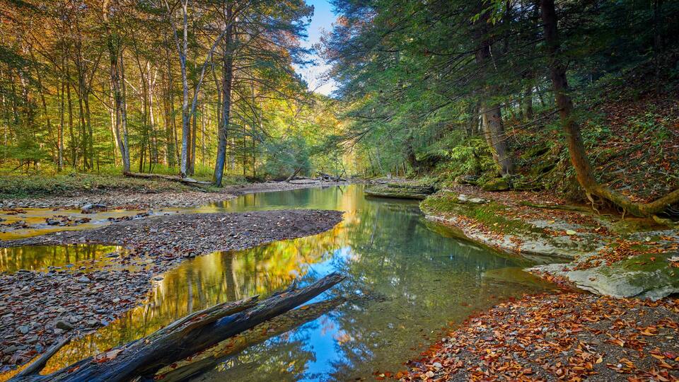 A calm river surrounded by autumn trees reflecting in the water.
