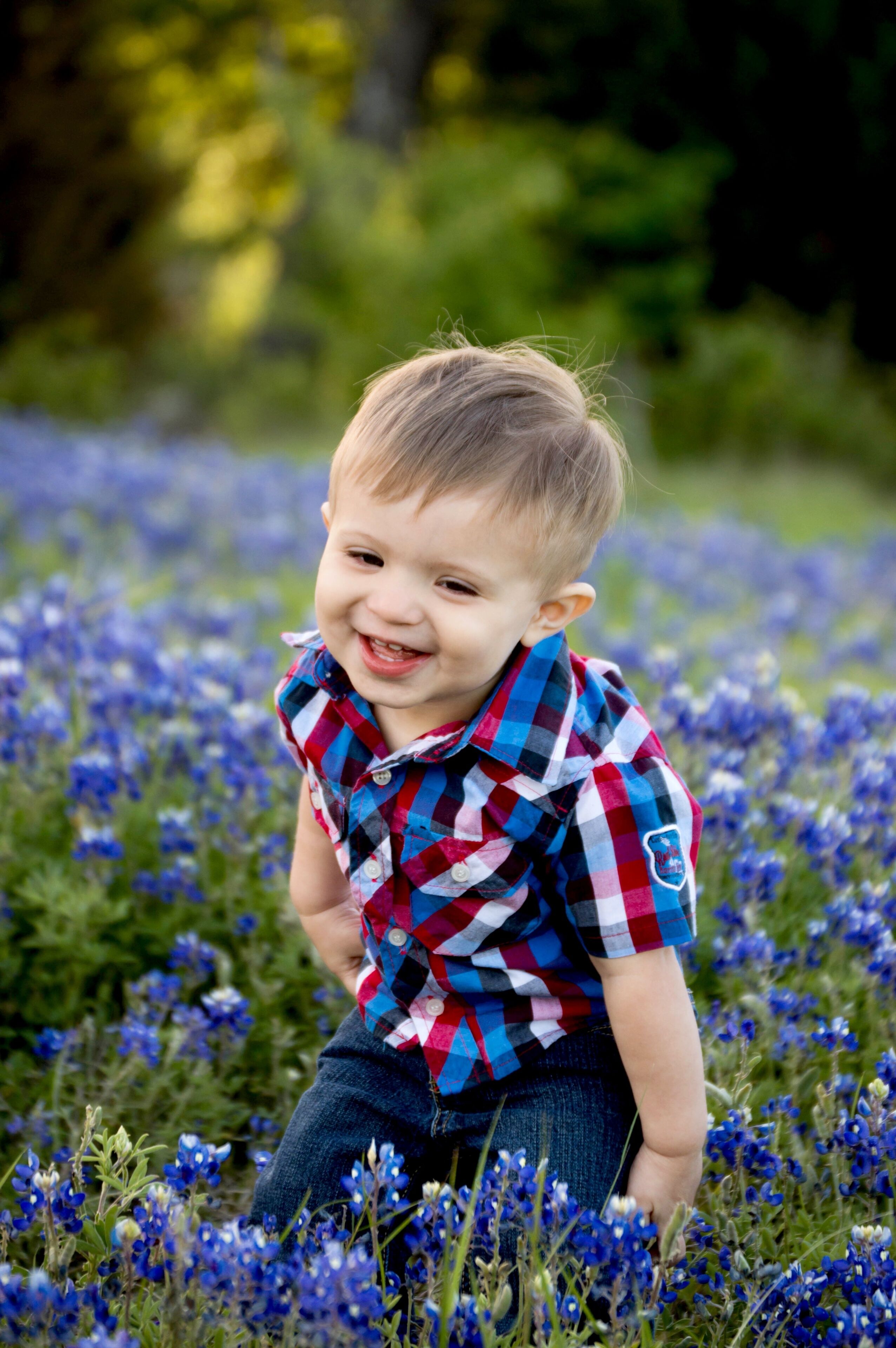 Adorable little boy in a field of bluebonnets in Central Texas 