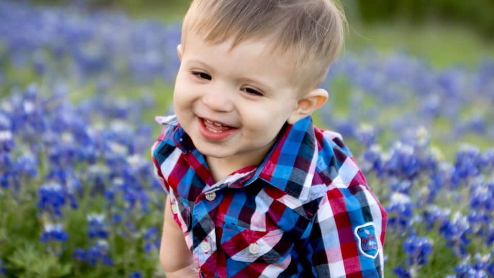 A child in a field of blue flowers.