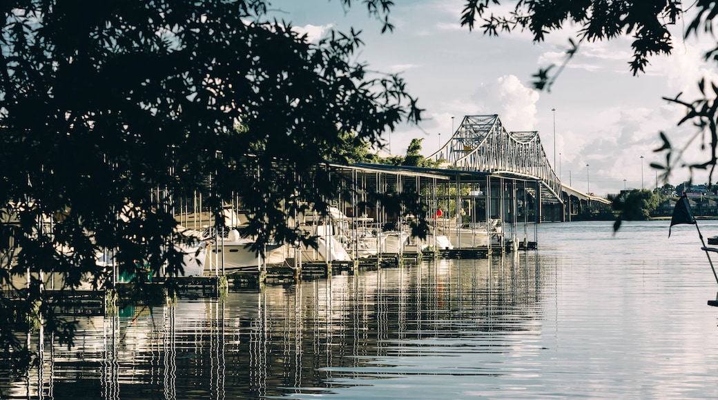 Beautiful shot of a Steamboat Bill Bridge across the Tennessee River in Decatur, Alabama