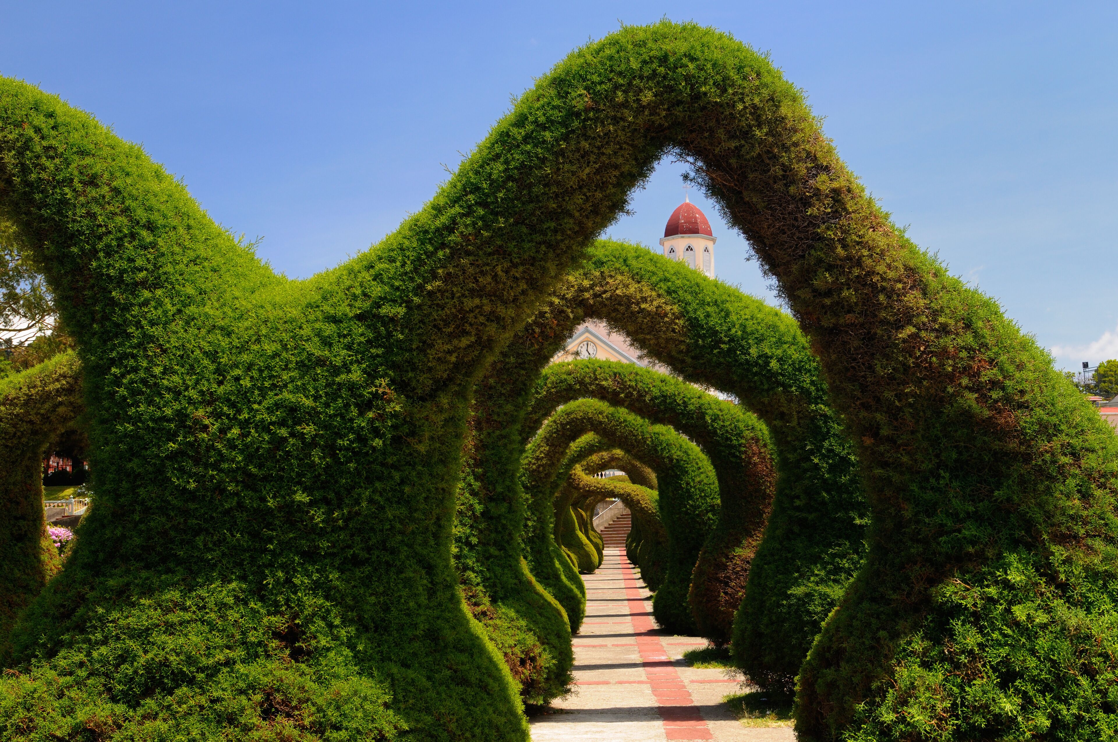 Topiary garden archways and path in Zarcero Costa Rica leading to stairs and church
