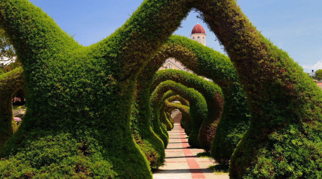 Topiary garden archways and path in Zarcero Costa Rica leading to stairs and church