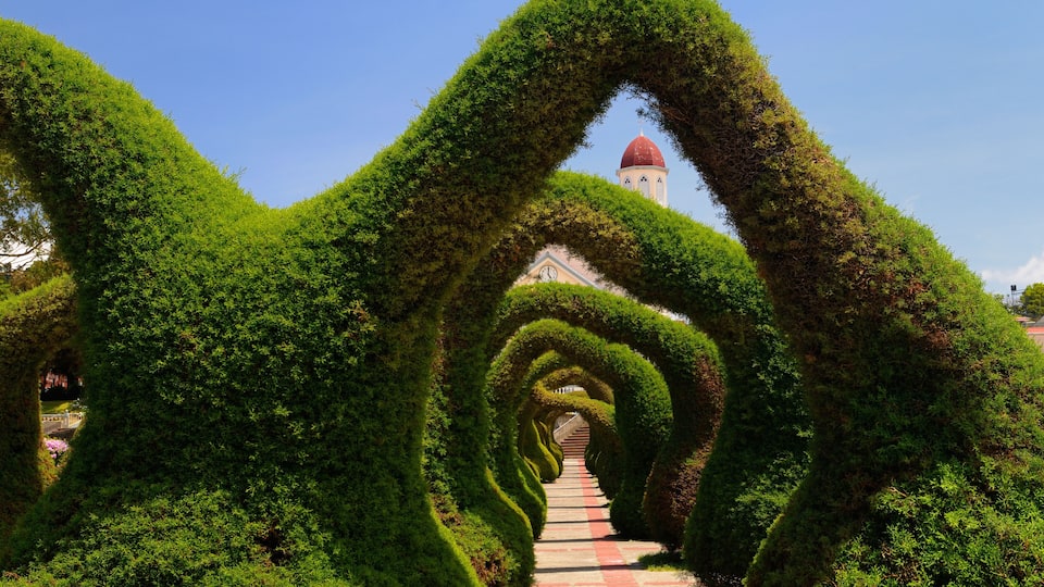 A pathway flanked by topiary arches, leading to a building with a red dome.
