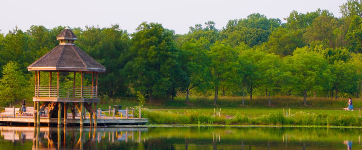 Reflections of trees and a boardwalk in Lake Artemesia, College Park, Maryland