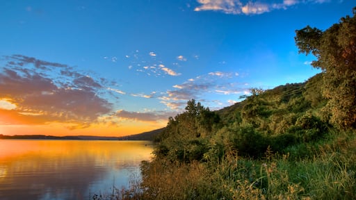 ์๋ฆฐ์ฐ๋