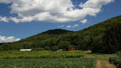 The wine is good, people are nice, grounds are beautiful
