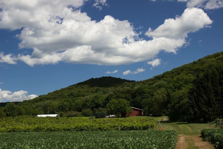 The wine is good, people are nice, grounds are beautiful