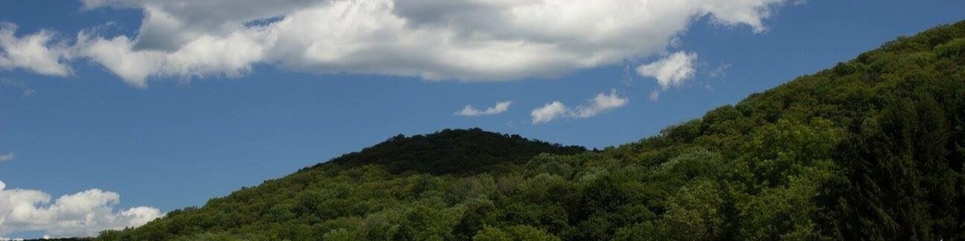 The wine is good, people are nice, grounds are beautiful