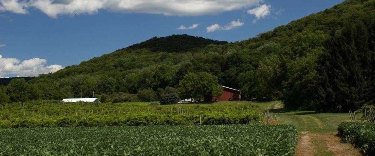 The wine is good, people are nice, grounds are beautiful