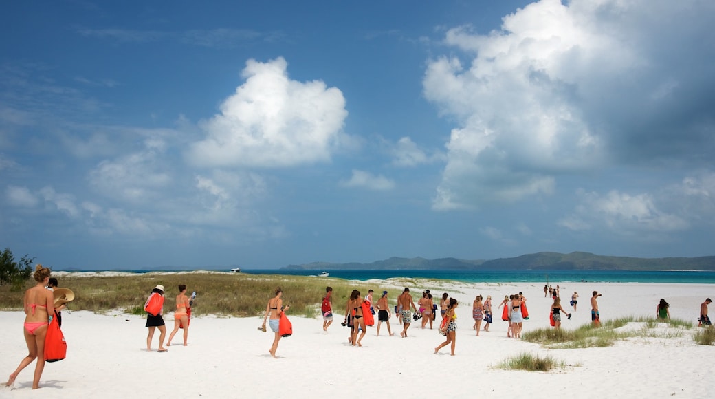 Hamilton Island which includes a beach, landscape views and general coastal views