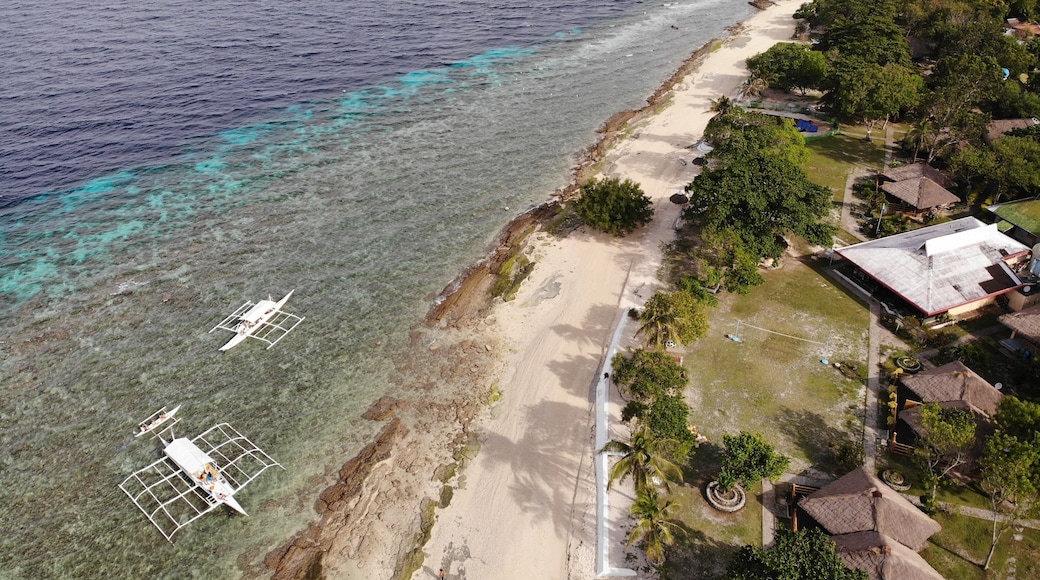 You can join a half day island hopping trip here from Panglao for only PHP300 each without snorkeling