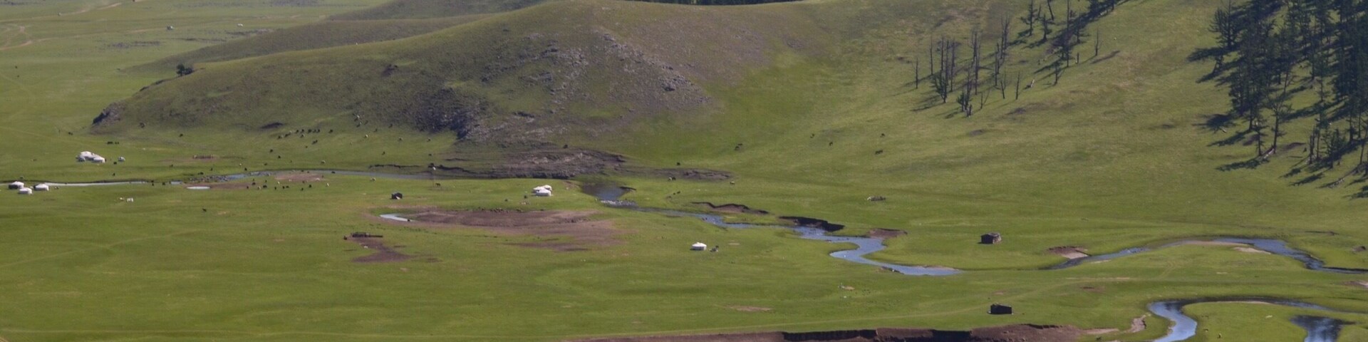 The dirt trail running roughly alongside the Orkhon River is actually one of Mongolia's main numbered roads. As you drive it Soviet era concrete kilometre post can still be seem jutting out of the pasture land.