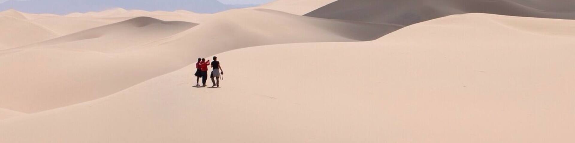 This is at the 12 km long sand dune. If you're on any kind of tour to Gobi Desert you will likely visit this place. We rode camels to arrive at this particular location.