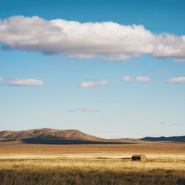 Just a random place, somewhere in the Gobi Desert, Mongolia. I had no idea where I was. Just got on a week-long tour offered by a hostel in UlaanBataar, that took us in a couple of places south of the capital. The silence and immensity of the landscape is incredible. Cannot wait to go back one day. Cannot exactly describe the feeling, but I miss that emptiness. 
"20.000km Across Asia" project, 2011.
www.doruoprisan.com