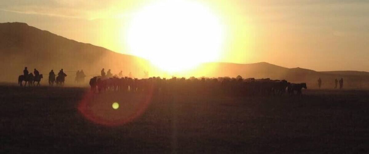 "Түмэн адууны баяр, их төвөргөөн" if you roughly translates the name into english "Festival of 10,000 horses, great horse steps". The festival took place in Batnorov soum, Khentii Province, Mongolia. The place is famous for Mongolian horsemen and wolf hunter breed dogs called "taiga". This year over 2100 horses has gathered at Batnorov to celebrate the traditions of Mongolian horsemen.