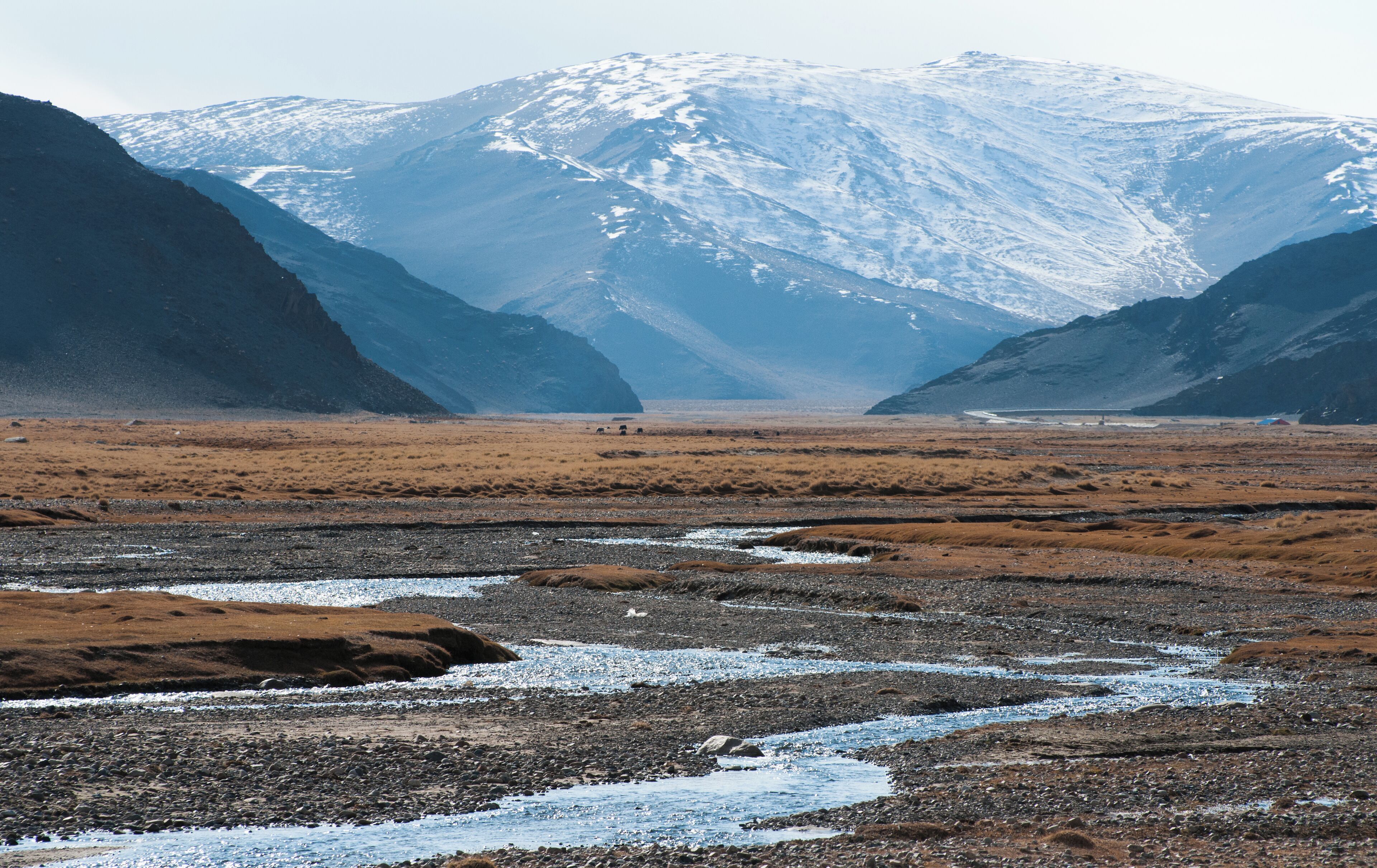 Driving at 2600m and wondering if the scenery resembles Scotland or not. 
#blue